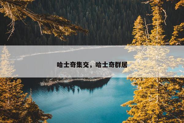 哈士奇集交，哈士奇群居
