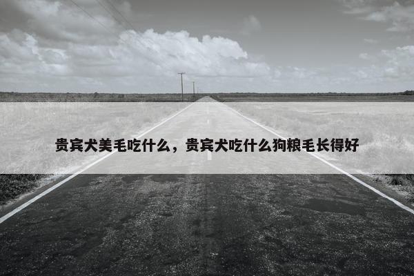 贵宾犬美毛吃什么，贵宾犬吃什么狗粮毛长得好