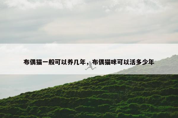 布偶猫一般可以养几年，布偶猫咪可以活多少年