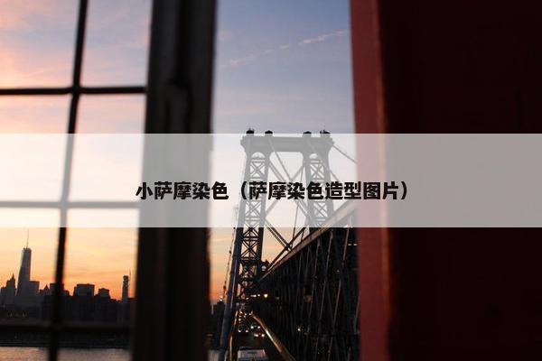 小萨摩染色（萨摩染色造型图片）