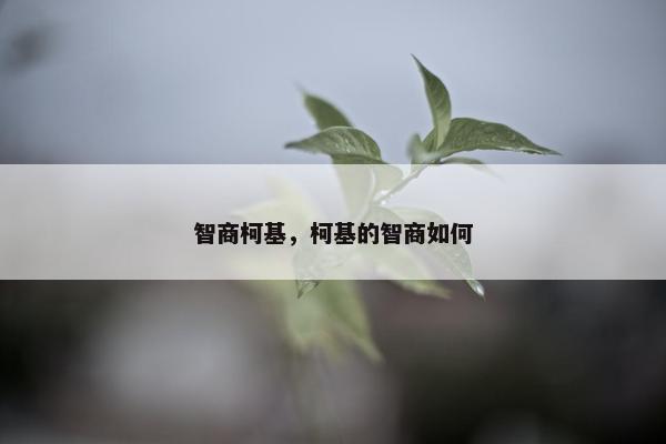 智商柯基，柯基的智商如何