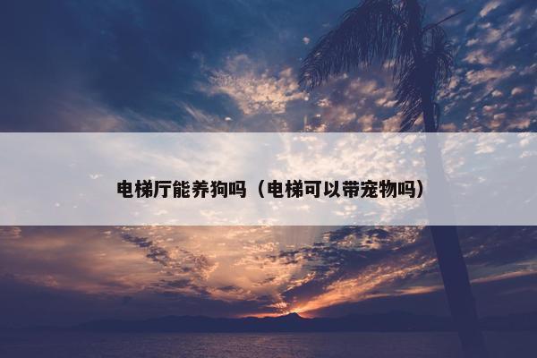电梯厅能养狗吗（电梯可以带宠物吗）