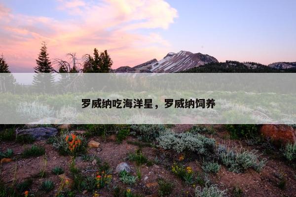 罗威纳吃海洋星，罗威纳饲养