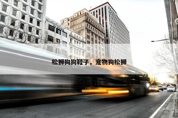 松狮狗狗鞋子，宠物狗松狮