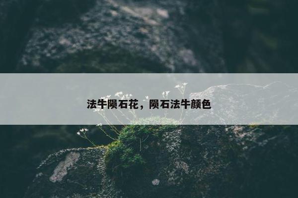 法牛陨石花，陨石法牛颜色