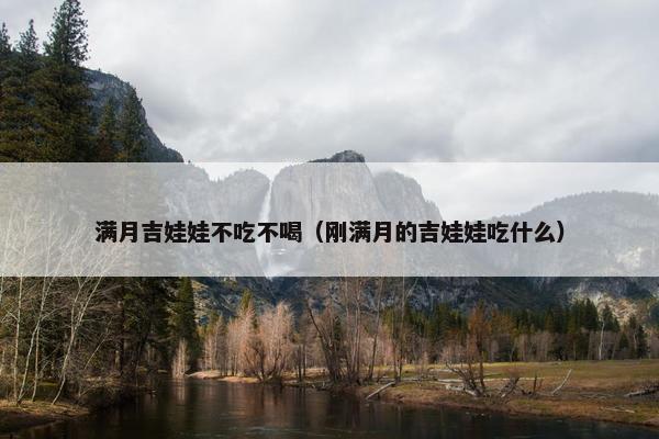 满月吉娃娃不吃不喝（刚满月的吉娃娃吃什么）