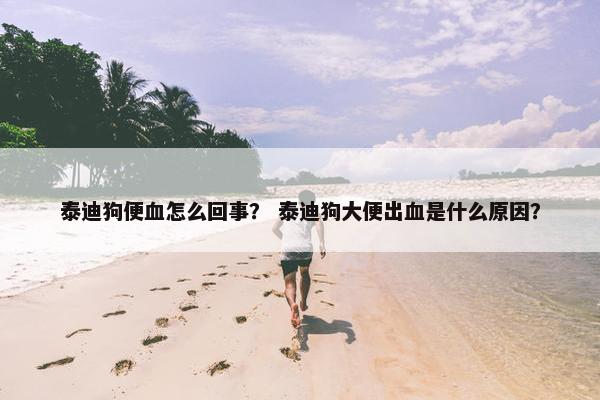 泰迪狗便血怎么回事？ 泰迪狗大便出血是什么原因？