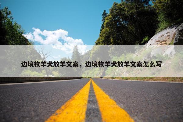 边境牧羊犬放羊文案，边境牧羊犬放羊文案怎么写