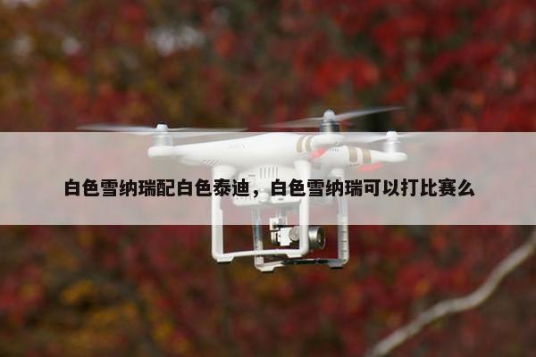 白色雪纳瑞配白色泰迪，白色雪纳瑞可以打比赛么