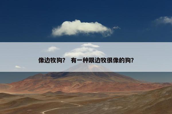 像边牧狗？ 有一种跟边牧很像的狗？