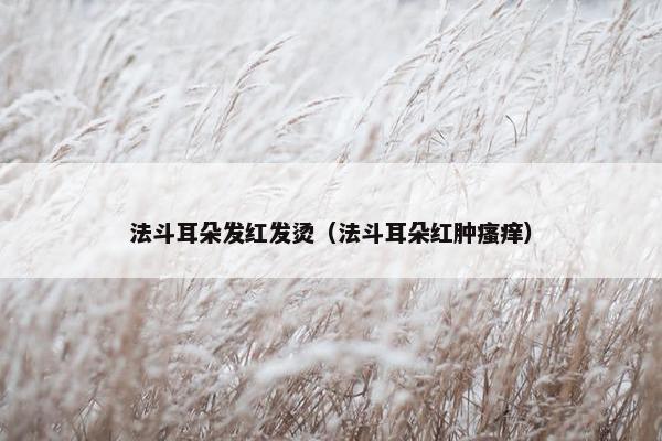 法斗耳朵发红发烫（法斗耳朵红肿瘙痒）