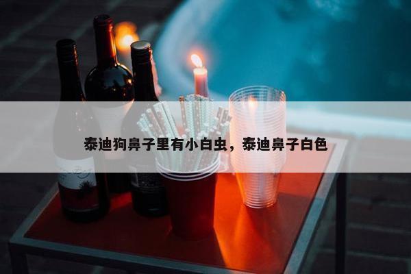 泰迪狗鼻子里有小白虫，泰迪鼻子白色