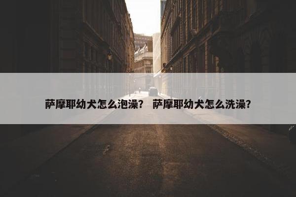 萨摩耶幼犬怎么泡澡？ 萨摩耶幼犬怎么洗澡？