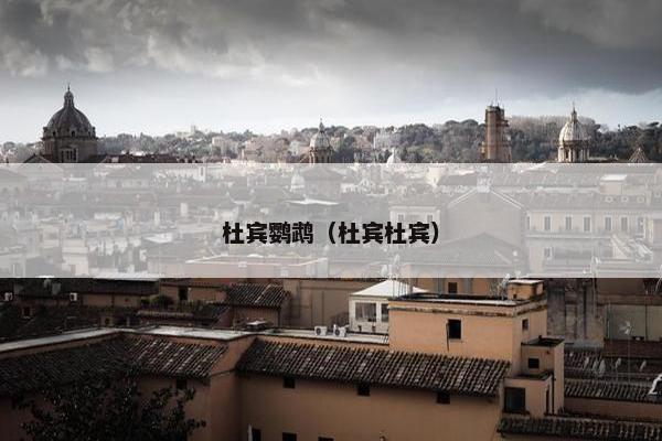 杜宾鹦鹉（杜宾杜宾）