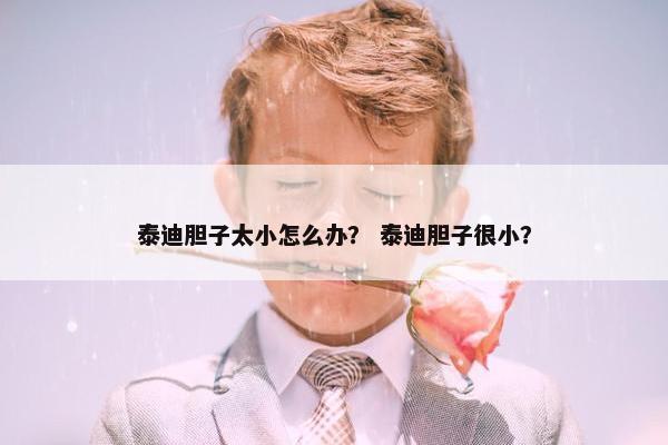 泰迪胆子太小怎么办？ 泰迪胆子很小？