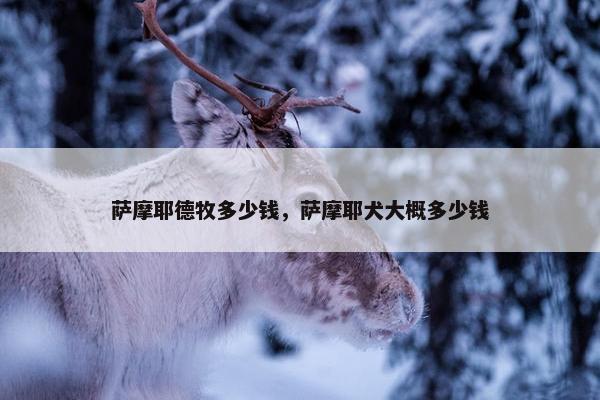 萨摩耶德牧多少钱，萨摩耶犬大概多少钱