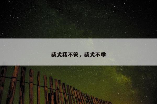 柴犬我不管，柴犬不乖