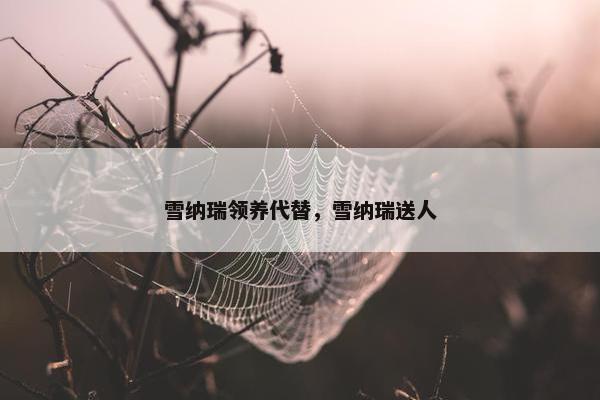 雪纳瑞领养代替，雪纳瑞送人