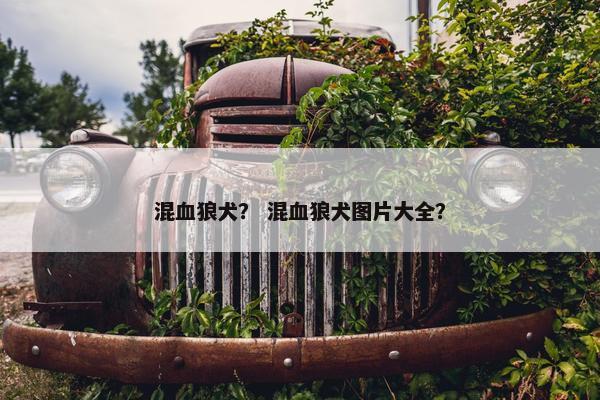 混血狼犬？ 混血狼犬图片大全？