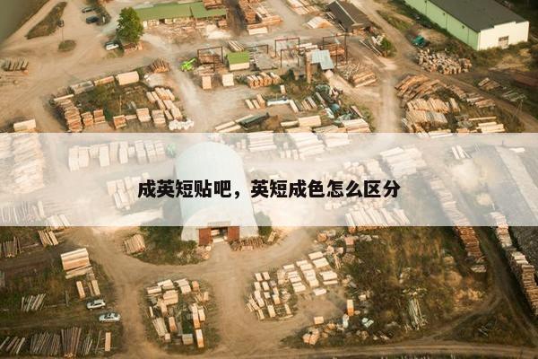 成英短贴吧，英短成色怎么区分