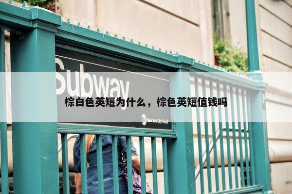 棕白色英短为什么，棕色英短值钱吗