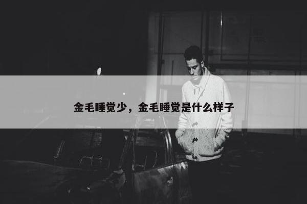 金毛睡觉少，金毛睡觉是什么样子