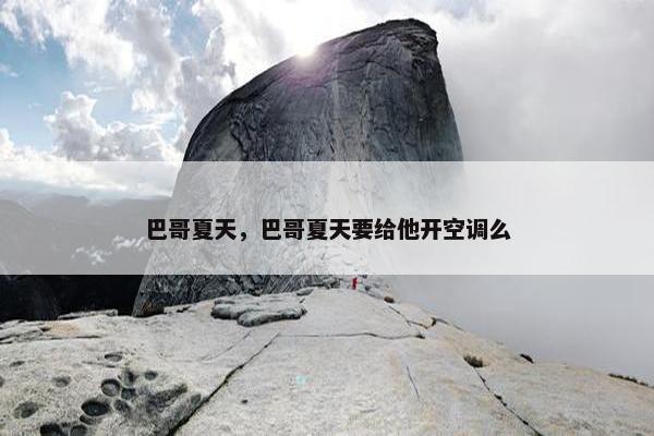 巴哥夏天，巴哥夏天要给他开空调么