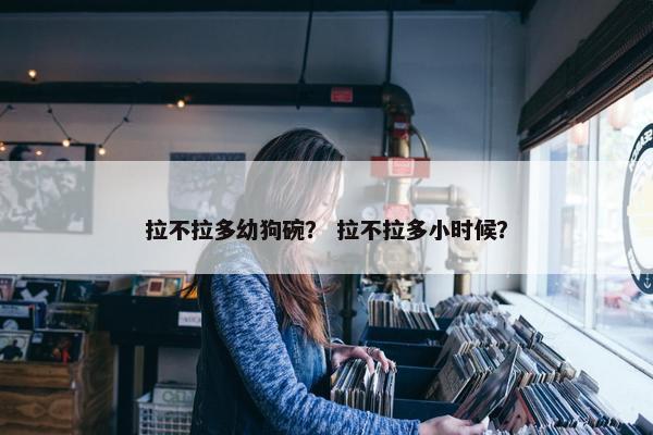 拉不拉多幼狗碗？ 拉不拉多小时候？
