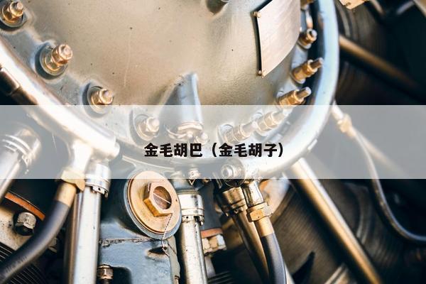 金毛胡巴（金毛胡子）