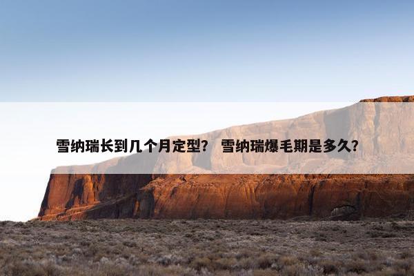雪纳瑞长到几个月定型？ 雪纳瑞爆毛期是多久？
