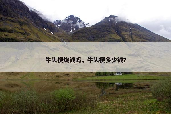 牛头梗烧钱吗，牛头梗多少钱?