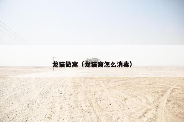 龙猫做窝（龙猫窝怎么消毒）