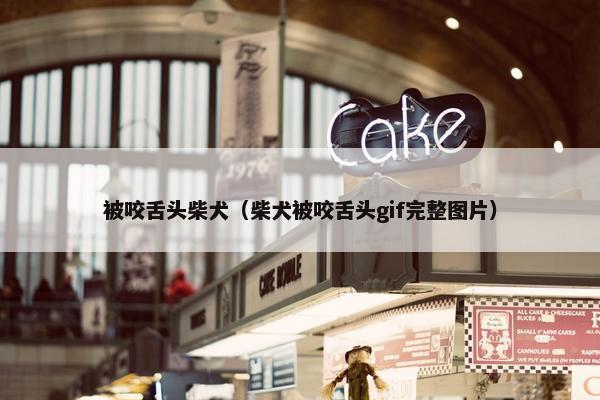 被咬舌头柴犬（柴犬被咬舌头gif完整图片）