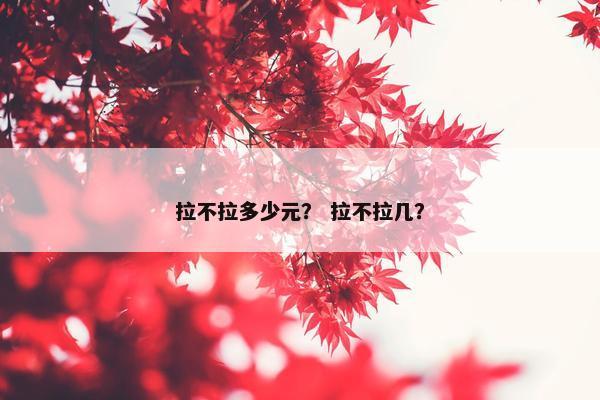 拉不拉多少元？ 拉不拉几？