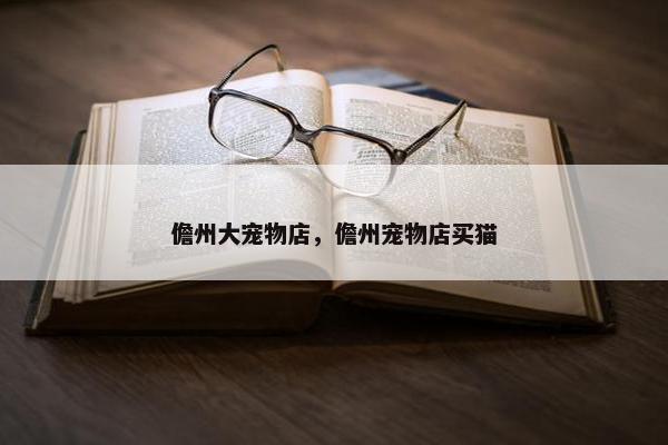 儋州大宠物店，儋州宠物店买猫