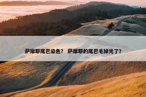 萨摩耶尾巴染色？ 萨摩耶的尾巴毛掉光了？