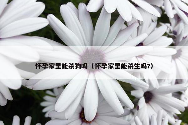 怀孕家里能杀狗吗（怀孕家里能杀生吗?）