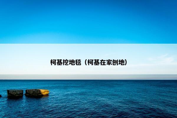 柯基挖地毯（柯基在家刨地）