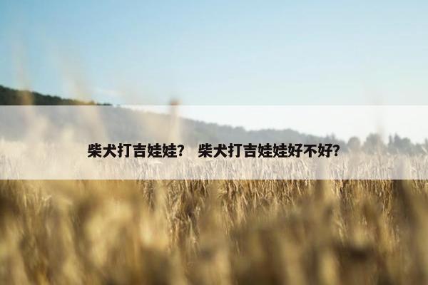 柴犬打吉娃娃？ 柴犬打吉娃娃好不好？