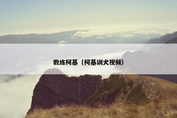 教练柯基（柯基训犬视频）