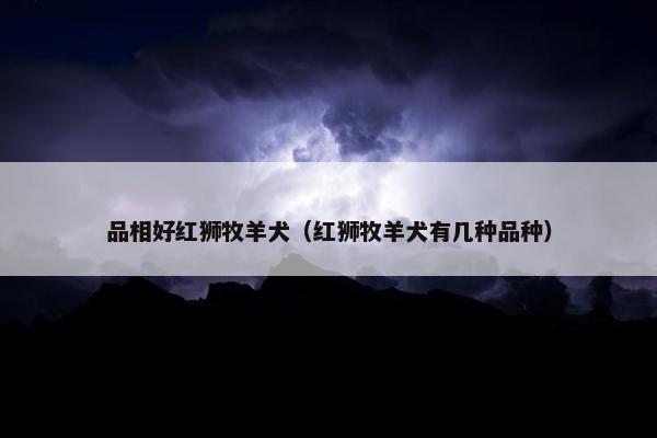 品相好红狮牧羊犬（红狮牧羊犬有几种品种）