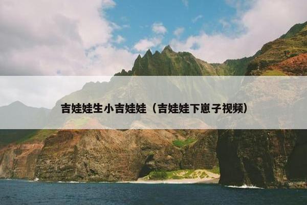 吉娃娃生小吉娃娃（吉娃娃下崽子视频）