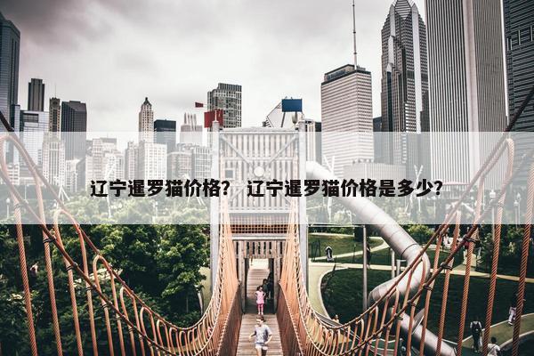 辽宁暹罗猫价格？ 辽宁暹罗猫价格是多少？