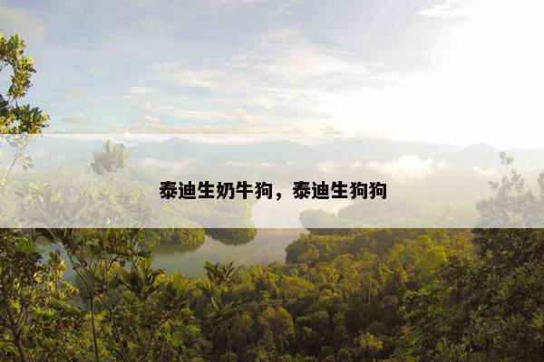 泰迪生奶牛狗，泰迪生狗狗
