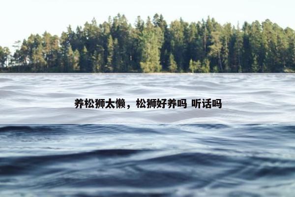 养松狮太懒，松狮好养吗 听话吗