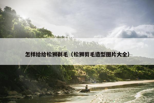 怎样给给松狮剃毛（松狮剪毛造型图片大全）
