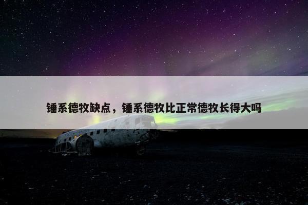 锤系德牧缺点，锤系德牧比正常德牧长得大吗