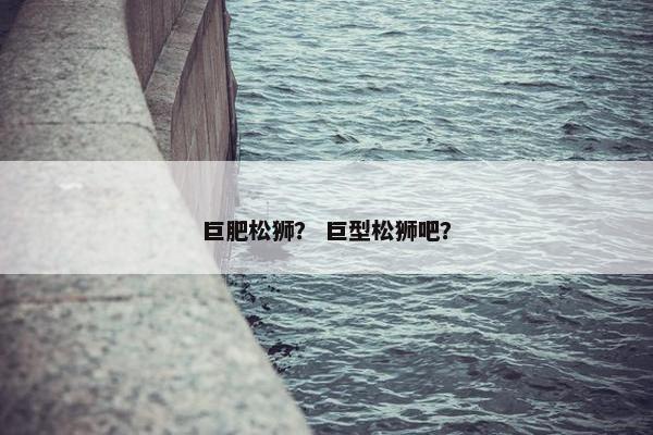 巨肥松狮？ 巨型松狮吧？