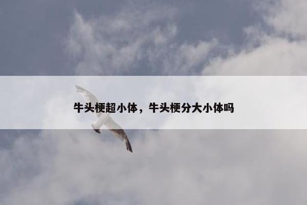 牛头梗超小体，牛头梗分大小体吗