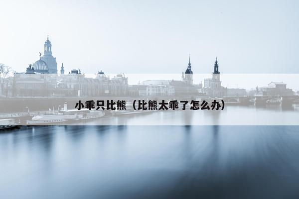 小乖只比熊（比熊太乖了怎么办）